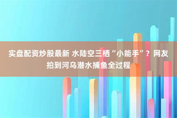 实盘配资炒股最新 水陆空三栖“小能手”？网友拍到河乌潜水捕鱼全过程