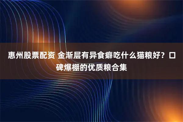 惠州股票配资 金渐层有异食癖吃什么猫粮好？口碑爆棚的优质粮合集